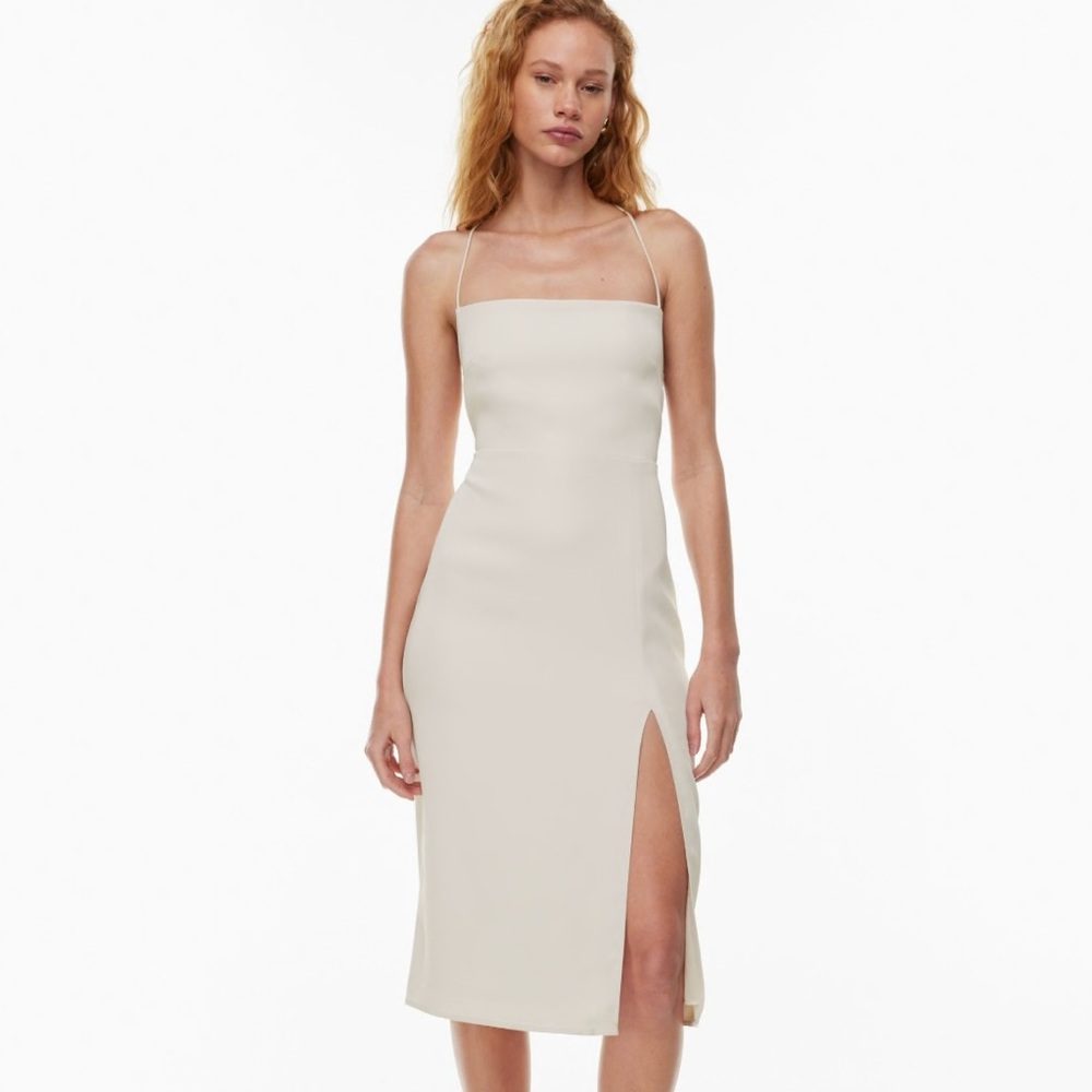 Aritzia Babaton Success Dress